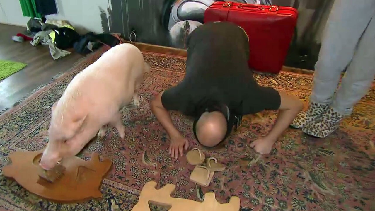 Krätze vs. Schwein (Video) - Berlin - Tag & Nacht - RTLZWEI