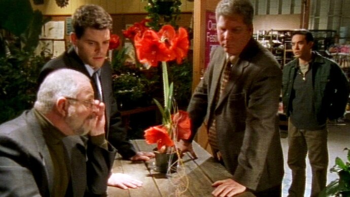 Ein Blumenhändler wurde ermordet und es gab keine Zeugen, außer die Blumen im Laden.