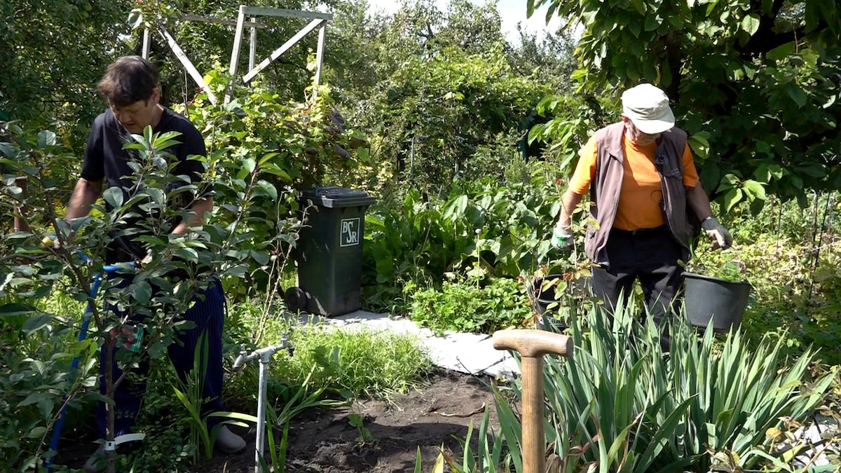 Alte Gärten neue Gärtner Von Hecke zu Hecke Bunte Beetgeschichten