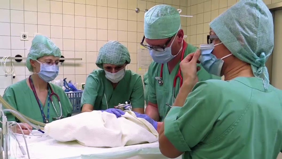 Geht Es Den Zwillingen Gut Video Die Babystation Jeden Tag