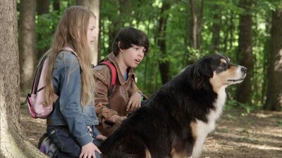 Bark Ranger - Mein Hund, der Held - Spielfilm