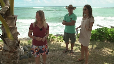 Die Reimanns suchen ein Strandhaus (Video) - Die Reimanns - Ein ...