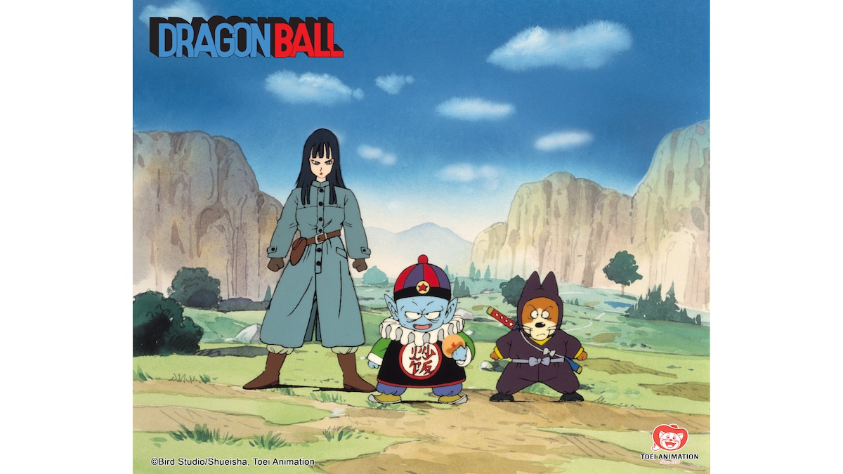 Prinz Pilaws Pläne Dragon Ball RTLZWEI