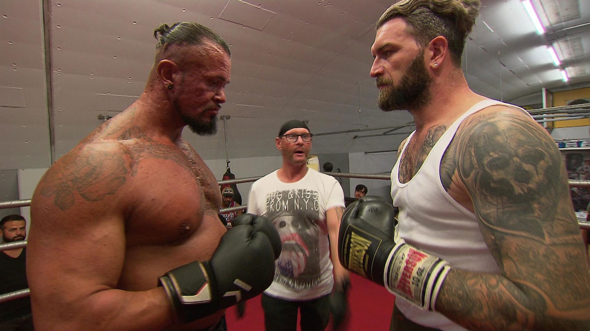 Der Boxkampf (Video) Köln 50667 RTLZWEI