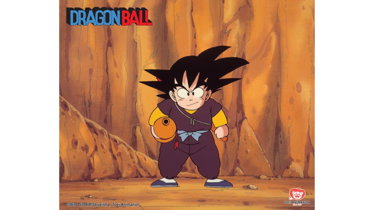 Ginkako und Kinkako Dragon Ball RTLZWEI