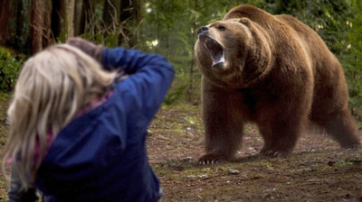 Grizzly Maze - Die Todeszone -